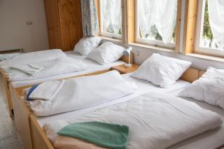 Hotel Waldoase Hirschbüchenkopf - 1