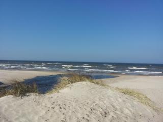 Vėjo Burė - Palanga - 9
