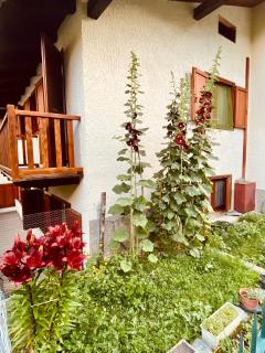 Maison Bertines II - Casteldelfino - 3