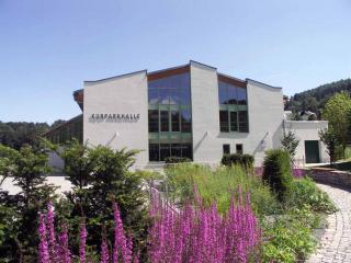 Thermalbad Wiesenbad - Thermalbad Wiesenbad - 3