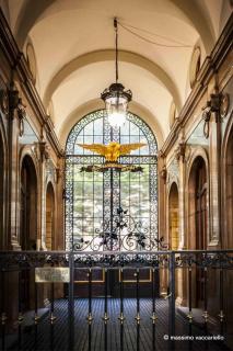 Golden Eagle - Turin - 9