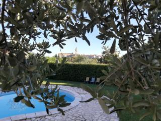 LOVELY GROUNDFLOOR APARTMENT - Bale (Valle) - 9