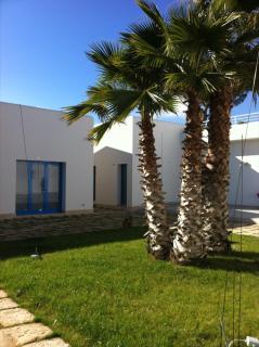 Campo Allegro - Santa Ninfa - 1