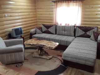 IN TARA KUCA ZA ODMOR - Jevtići - 5