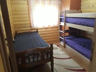 IN TARA KUCA ZA ODMOR - Jevtići - 6