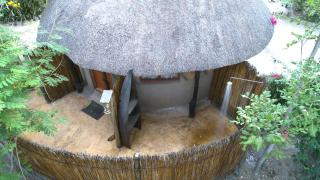 Discovery Bed and Breakfast - Maun - 8