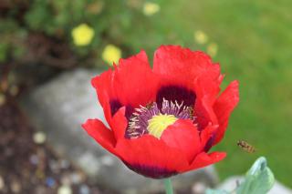 Riversdale House room only accommodation, A98KD85 - 6