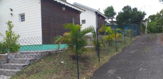 LESTEPHANIA - Le Moule - 9