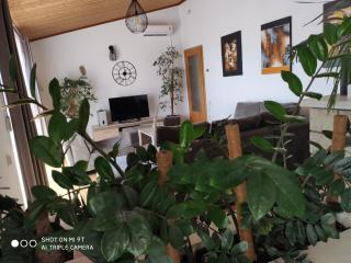Apartment Burich - Makarska - 0