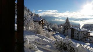 Primavera - 2.5 Zimmerwohnung, 52qm, max 4 Pers, Schwimmbad/Sauna - Flims - 1