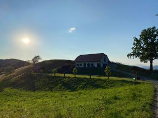 Wooden hut at tourist farm Artisek - 7