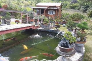 Au coin zen - Cilaos - 6