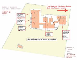 Villa 4 trulli, sea view, vista mare, isolata - Ostuni - 2