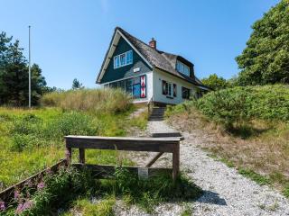 Beautiful dune villa with thatched roof on Ameland - Buren - 0