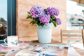 Apartament Inkluzja - 5