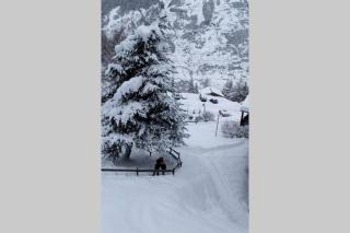 appartement en chalet au pied des pistes - 7