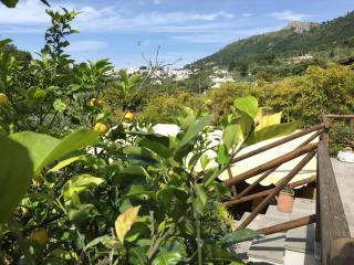 Relais Villa Anna - Anacapri - 6
