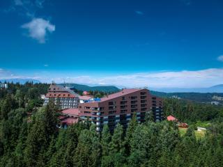 Poiana Brasov Alpin Resort Apartment - Poiana Brasov - 0