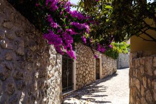 Apartment Pod Nespolom - Trsteno - 2