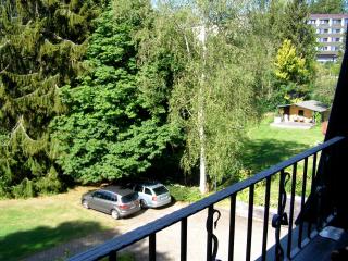 Park-Villa - Bad Steben - 2