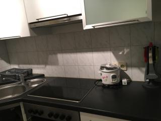 Luxurious 1 Bed room Business Apt near Daimler - 9