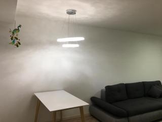 Luxurious 1 Bed room Business Apt near Daimler - 8