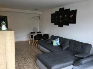 Luxurious 1 Bed room Business Apt near Daimler - 7