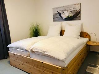 Große Wohnung - Kamin - Balkon - Boxspringbett - Skiwiese - Braunlage - 0