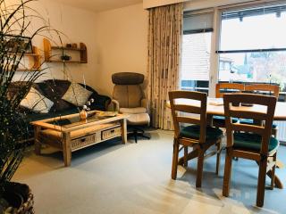 Große Wohnung - Kamin - Balkon - Boxspringbett - Skiwiese - Braunlage - 1