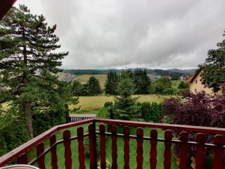 Villa Dama & Dubravka - Zlatibor - 3