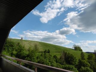 Ferienwohnung Panoramablick - Sankt Andreasberg - 6
