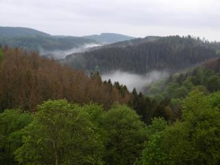Ferienwohnung Panoramablick - Sankt Andreasberg - 3