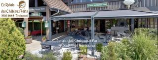 Le Relais Des Chateaux Forts - Bitche - 5