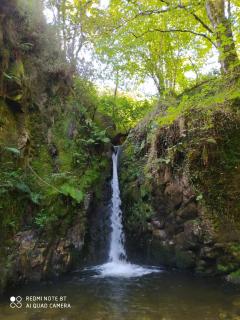 CASA RURAL PALACIO LOS LABREQUINES - 5