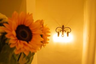 L'OZioRinco Apartments - Firenze - 8