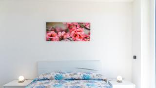 Appartamento Fronte Mare Bilocale - 5