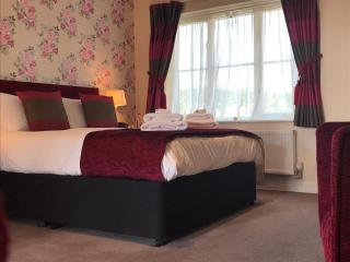 The Bird in Hand - Ashwellthorpe - 9