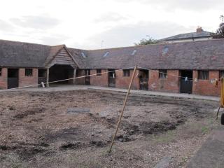 Bluebell Farm - 5