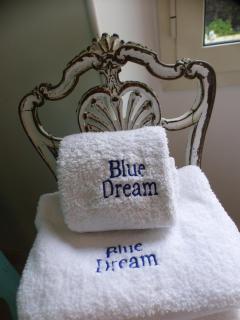 Blue Dream Cannes Guest House - 5