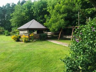 Domek pod lasem - Lubycza Królewska - 1