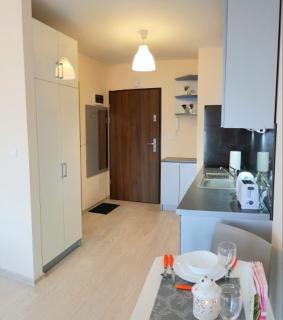 Cozy modern Apartment ASTORIA MAGIC GREY OLD TOWN - 7