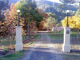 Hillview Oak B&B - Lankeys Creek - 1