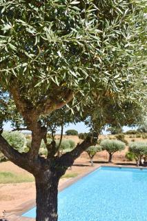 Aleixo's House | Alentejo - 7