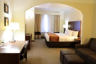 Comfort Inn & Suites, Odessa I-20 - 6