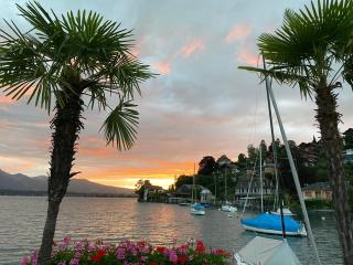 Haus der Schwalbe - Oberhofen am Thunersee - 5