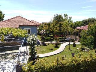 Villa Viktoria Halkidiki - Néa Sílata - 0