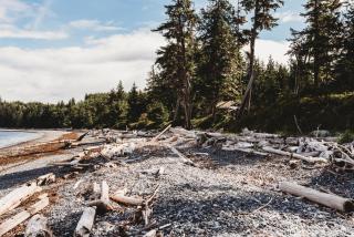 The Oceanfront Hotel - 2