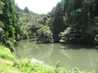 Guesthouse Fukiaesu - Bungoono - 2