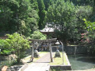 Guesthouse Fukiaesu - Bungoono - 4