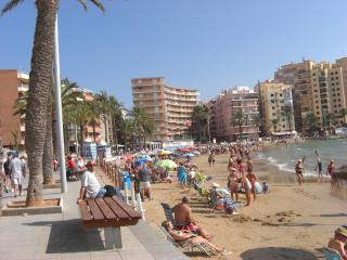 Owner Solidarity - reduction of prices - 5 - Torrevieja - 0